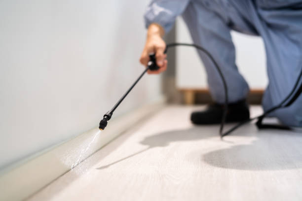 Bed Bug Pre-Treatment Preparation Assessment in White Haven