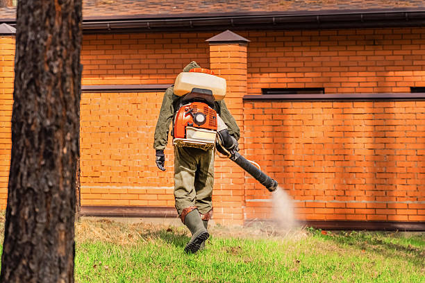 Bed Bug Clearance Verification and Documentation in White Haven